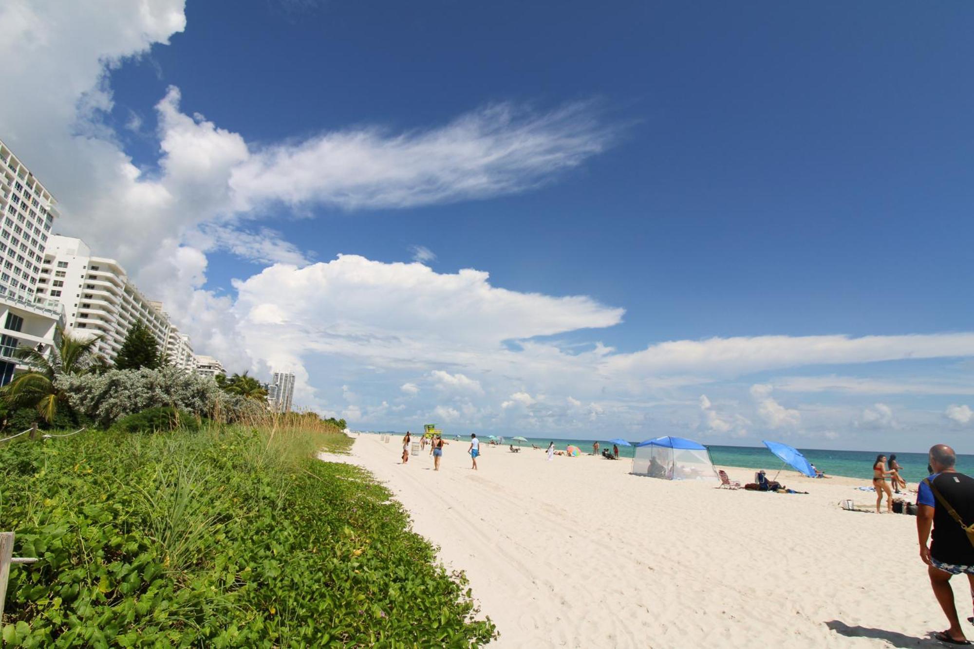 Castle 835 Oceanview Studio On Beach With Pool, Gym, Bars, And Free Parking 마이애미 비치 외부 사진